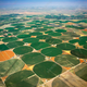 Illustration for article titled Farming is Cool (ClaimsofFortLangley)